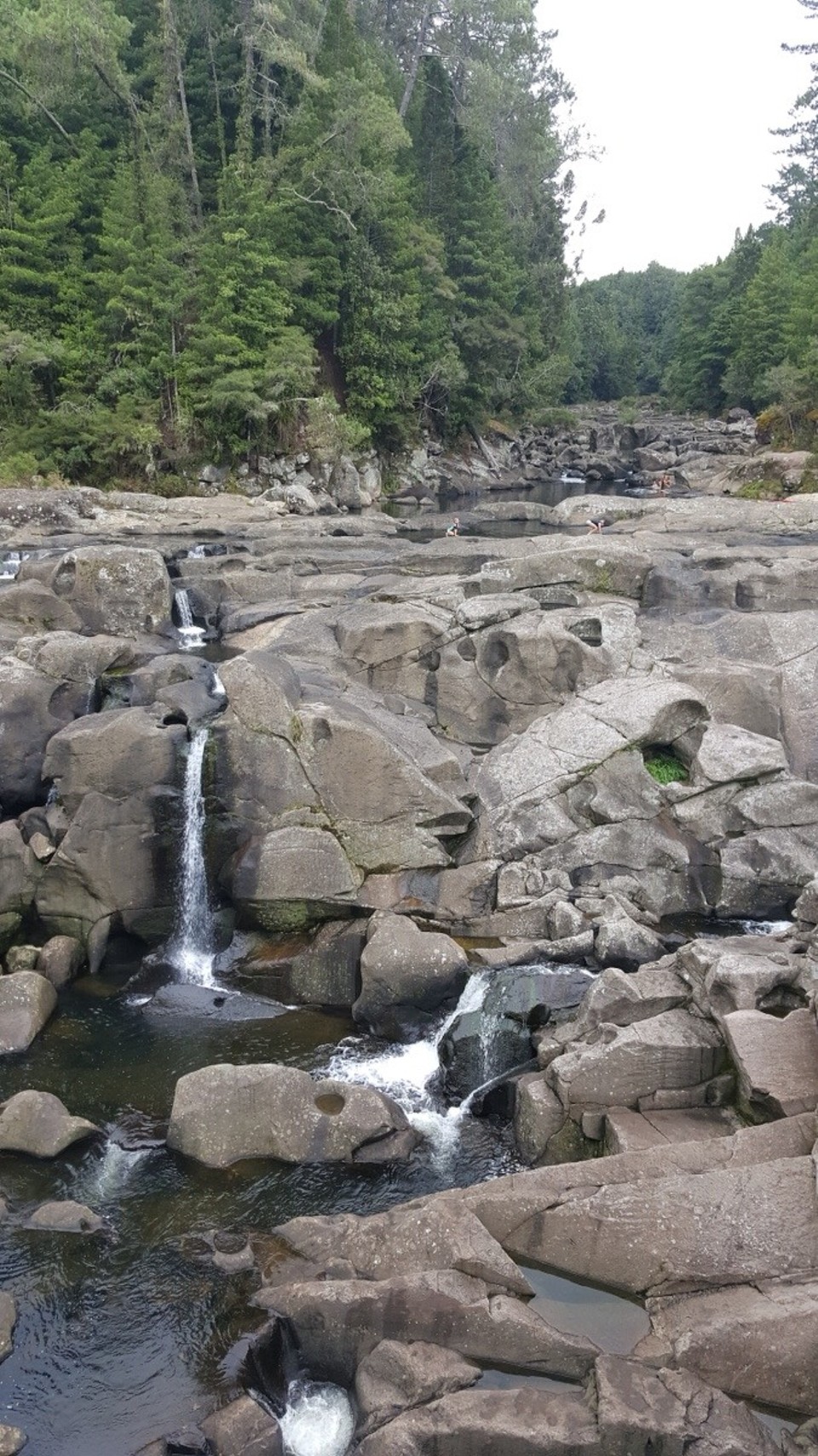 Neuseeland - Oropi - Die McLaren Falls.