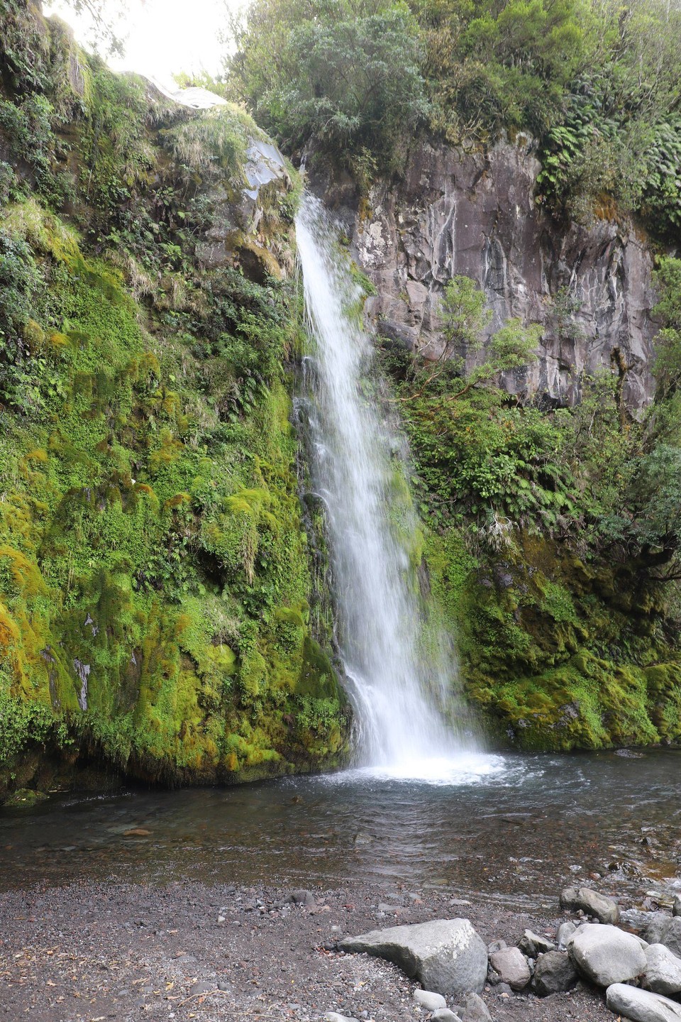 Neuseeland - Taranaki - Die Dawson Falls (18 m)