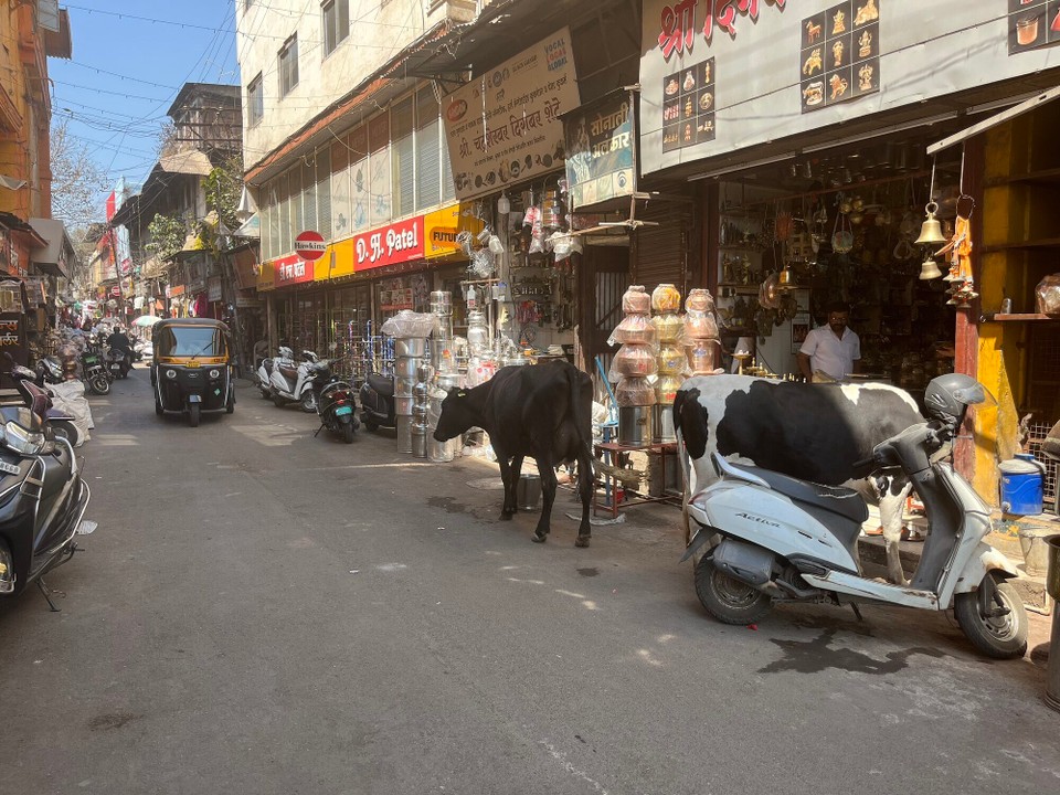 Indien - Nashik - Nashik