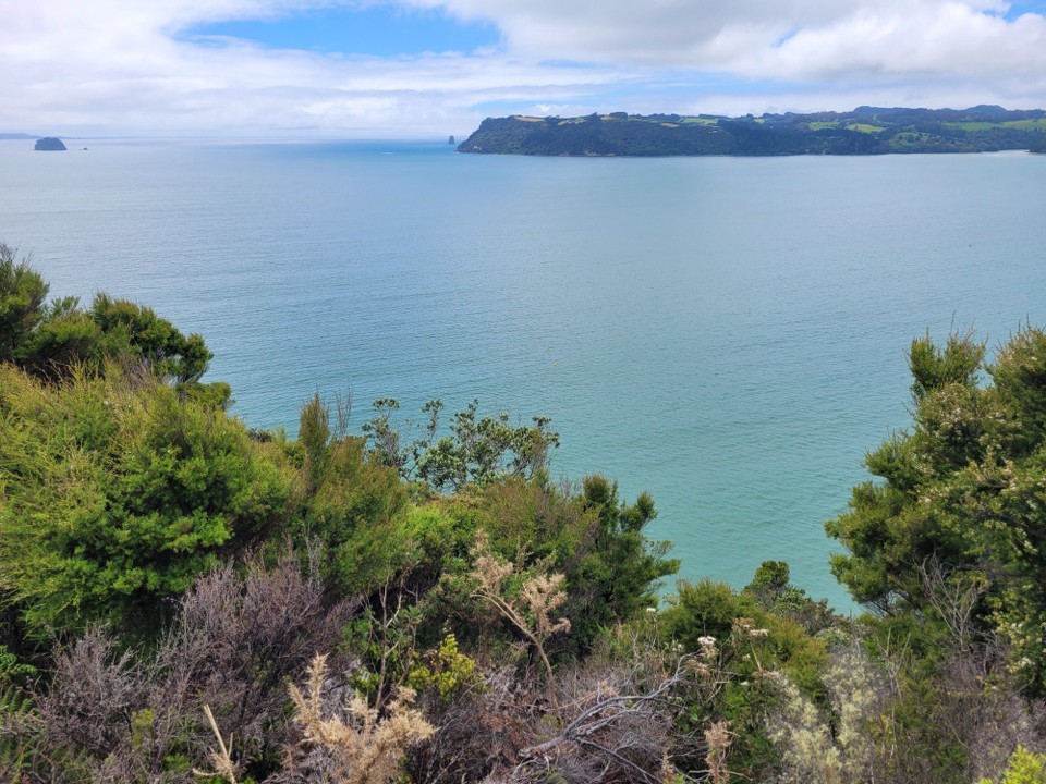 Neuseeland - Cooks Beach - 