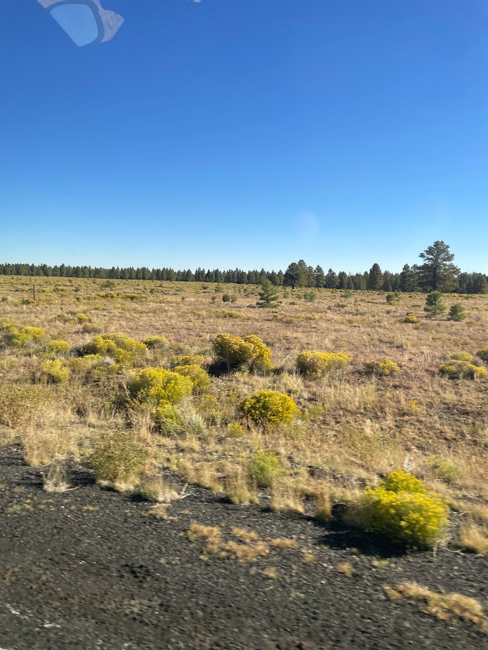 Vereinigte Staaten - Flagstaff - 