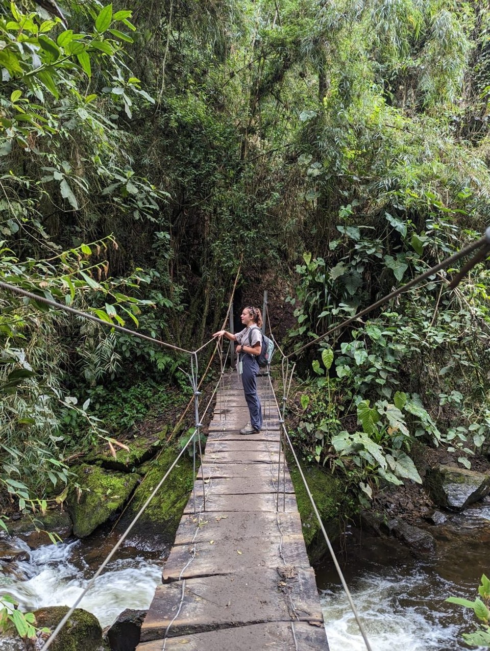 Kolumbien - Ibagué - Knapp 12 km durch den Nationalpark wandern 🥾 
