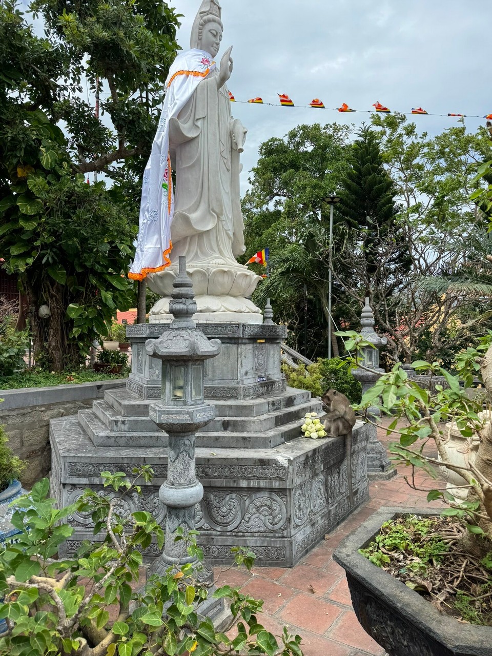 Vietnam - Con Dao - 