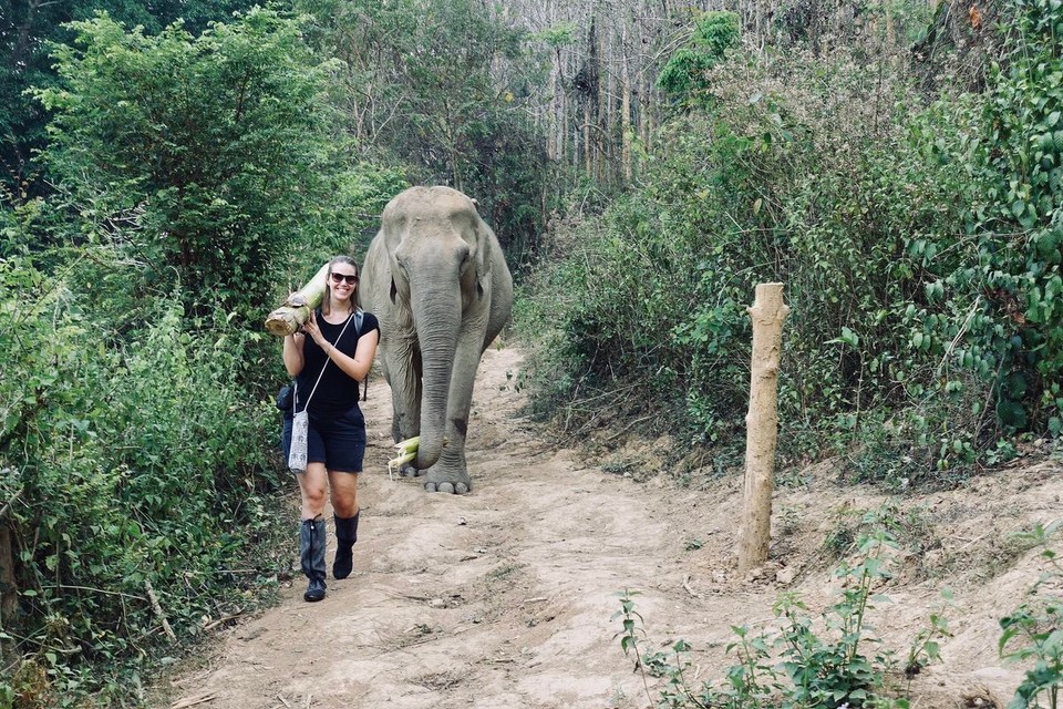 Laos - Luang Prabang - 