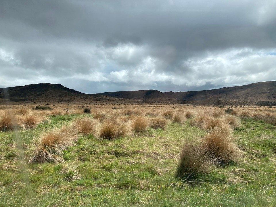 Neuseeland - Gore - 