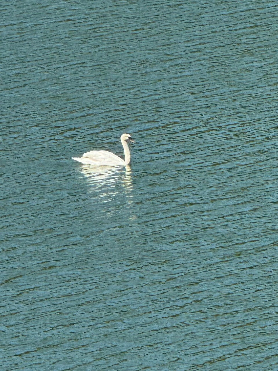 Deutschland - Schieder-Schwalenberg - 