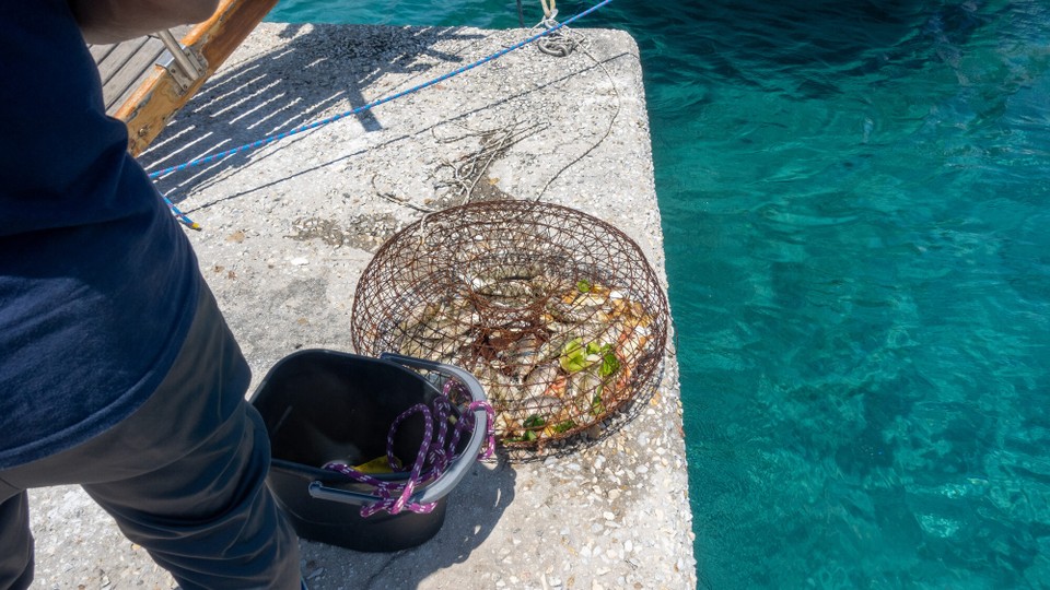 Griechenland - Symi - Da freut man sich auf frischen Fisch...