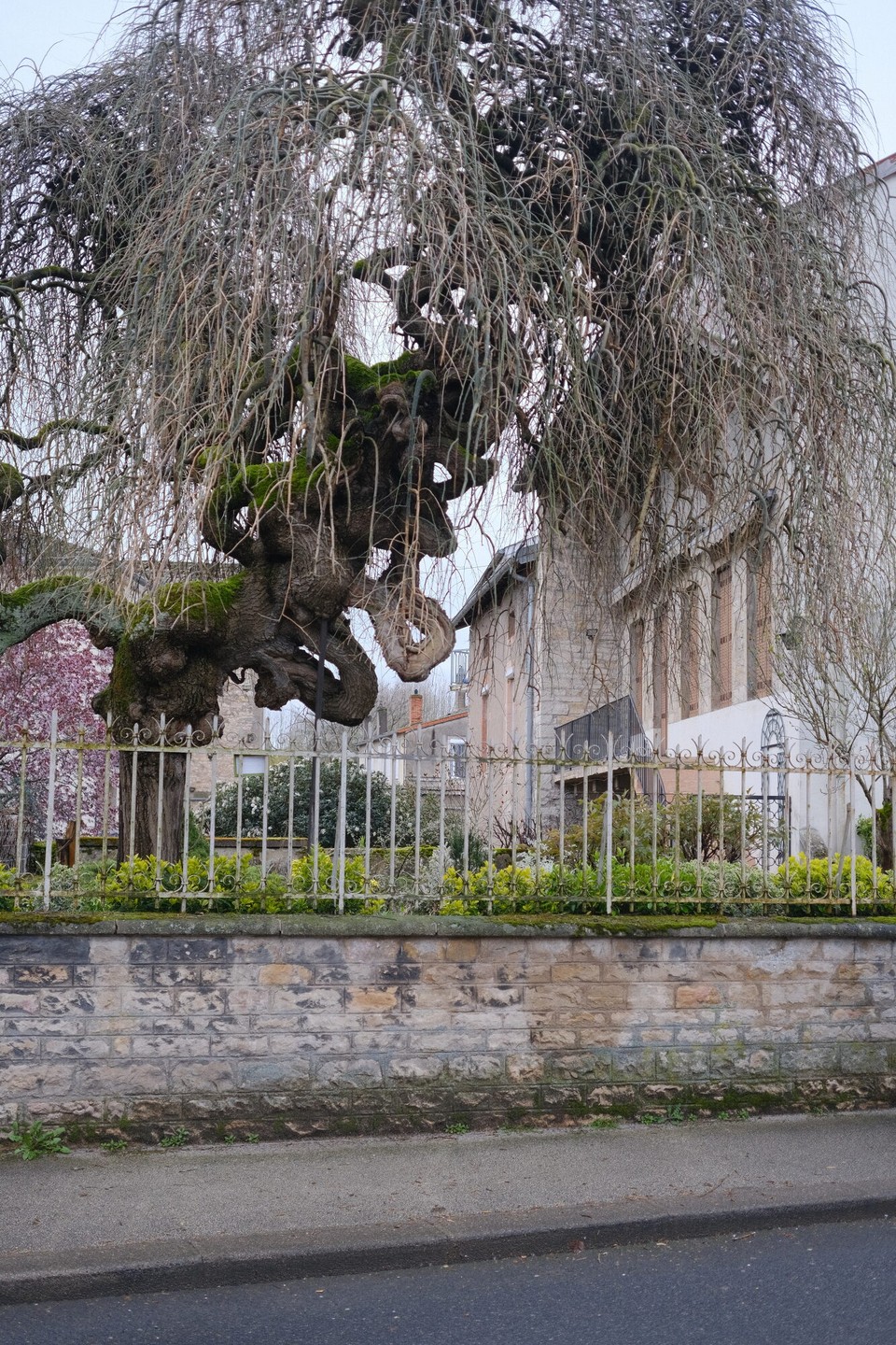 Frankreich - Tournus - 