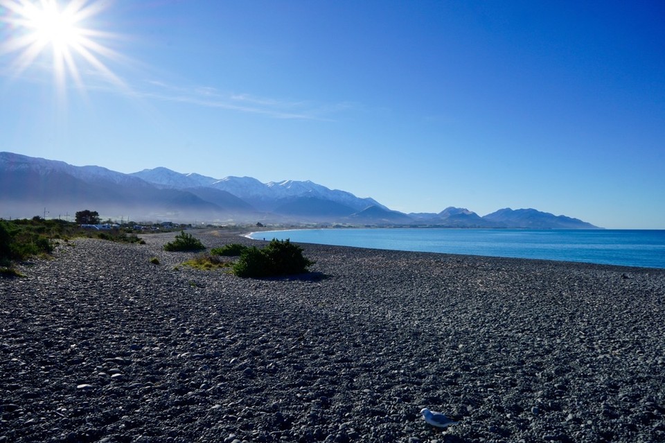 Neuseeland - Nelson - 