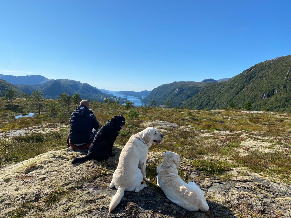 Norwegen - Aure - Wanderweg für unsere Jungs auch direkt vor der Tür. 