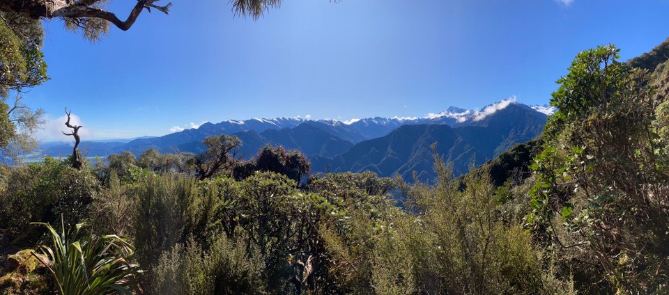 Neuseeland - Westland National Park - 