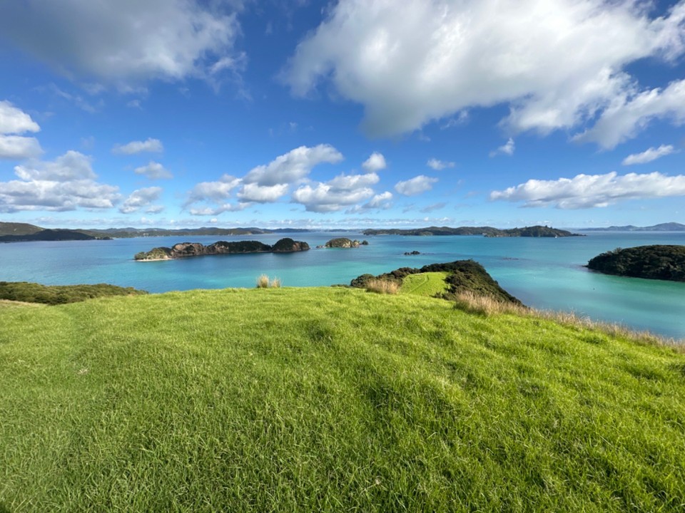 Neuseeland - Paihia - Kleiner Spaziergang auf der Insel Othai Bay 