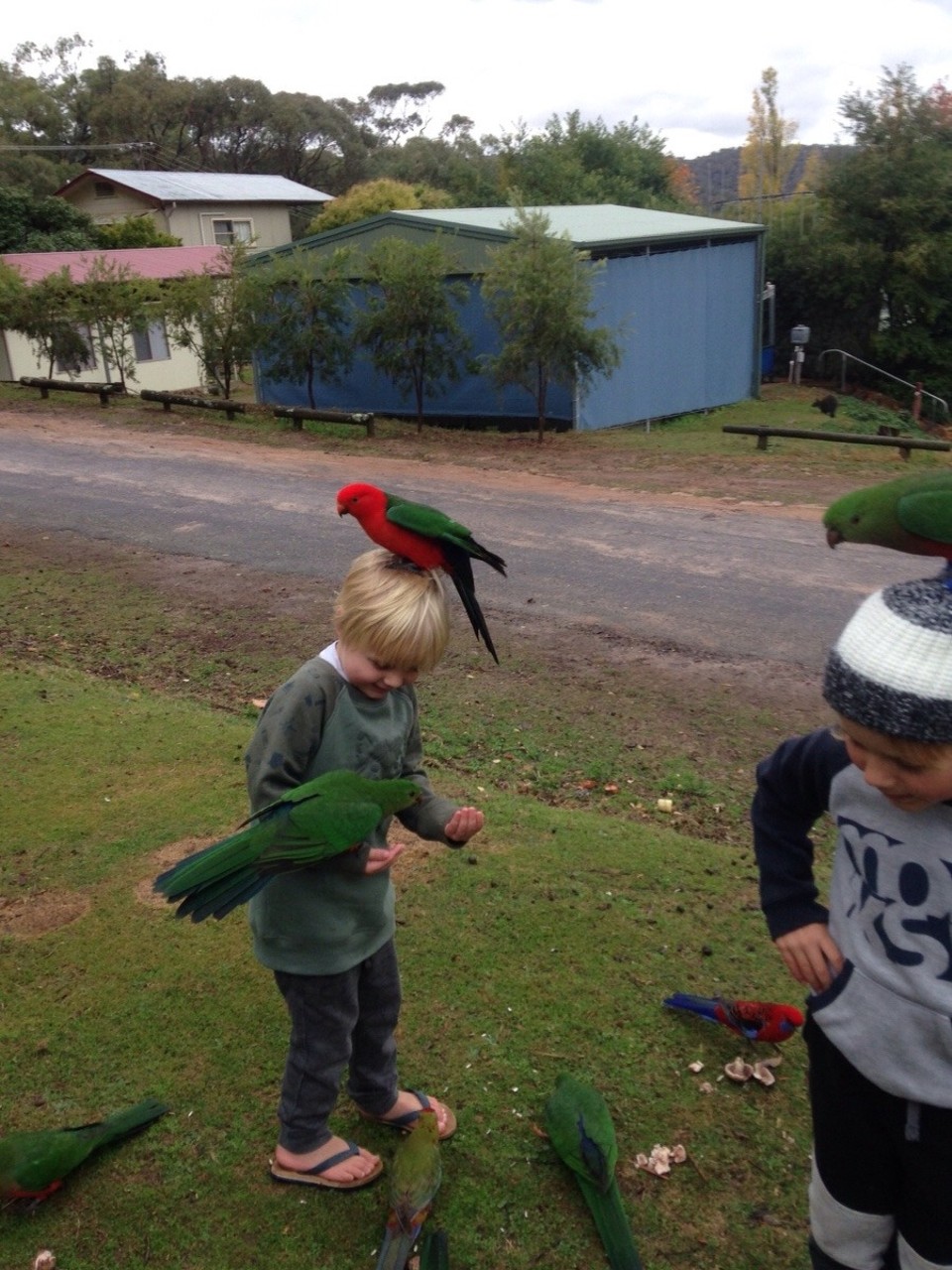 Australia - Burrinjuck - 