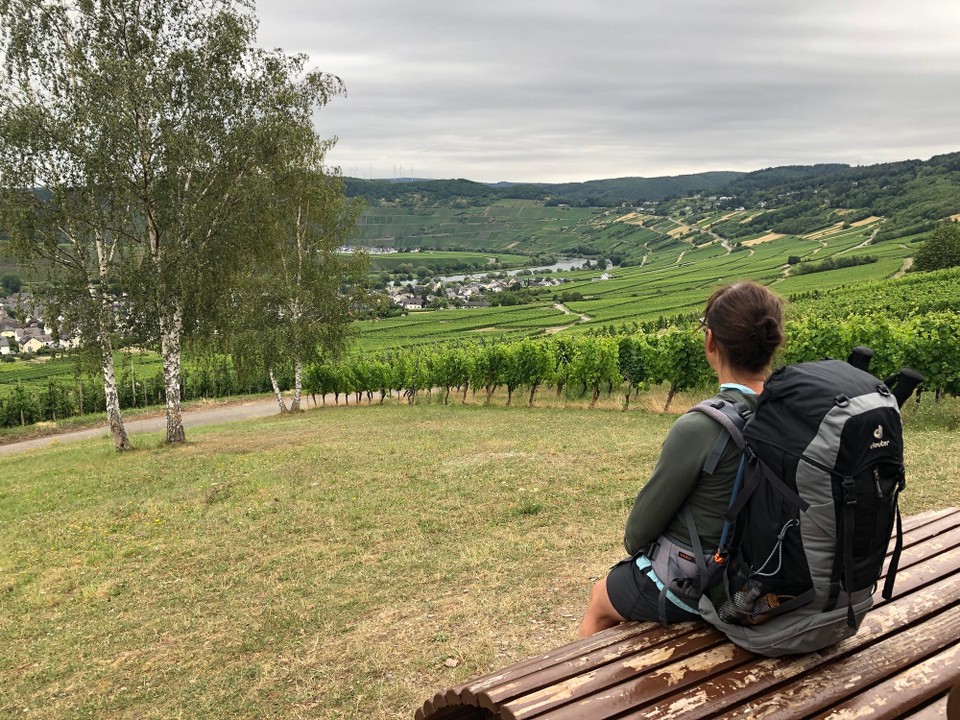 Deutschland - Neumagen-Dhron - Blick nach Leiwen zurück