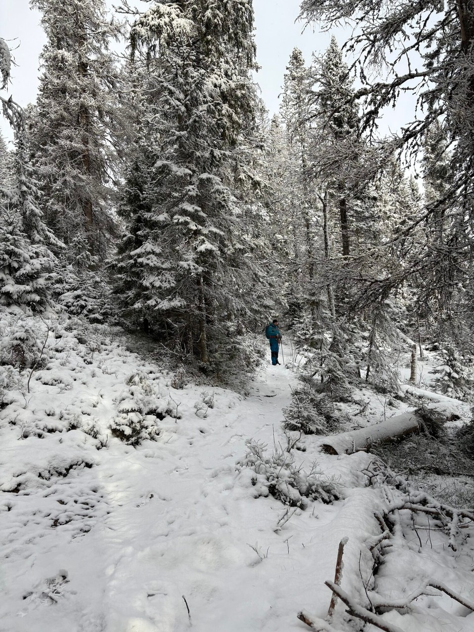 Schweden - Bjästa - Los geht’s 