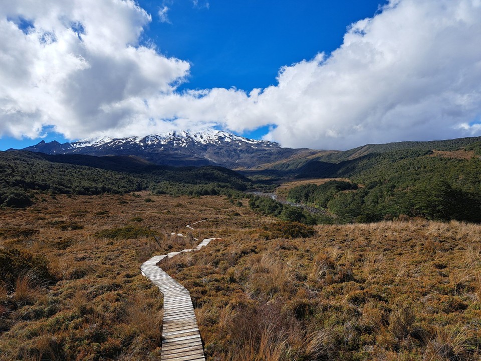 Neuseeland - National Park Village - 