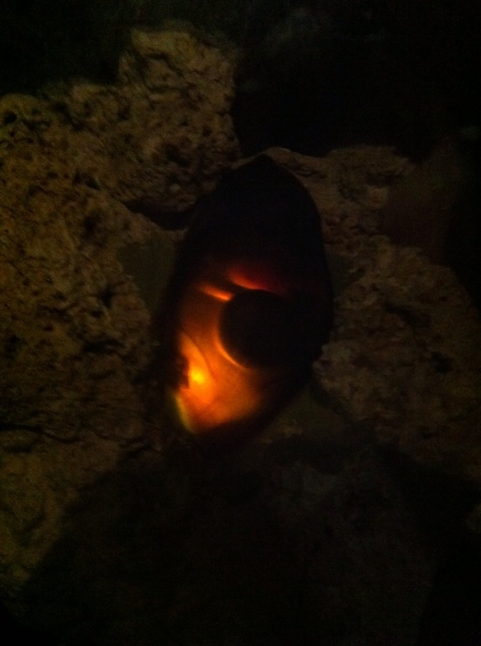 Egyesült Államok - Orlando - 