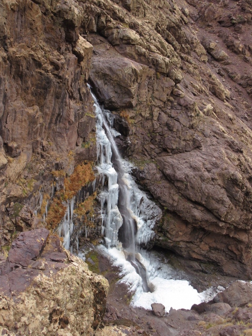 Morocco - Taroudant - 