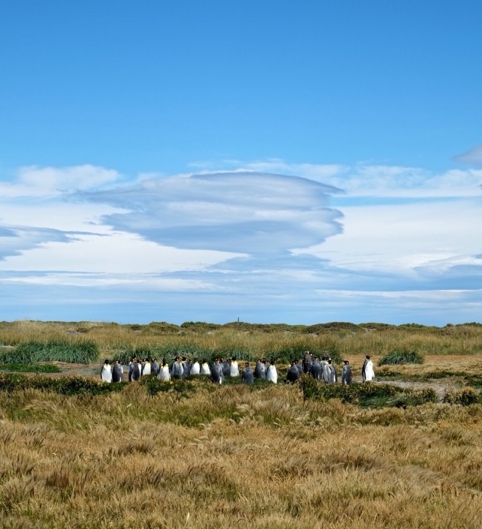 Chile - Punta Arenas & Porvenir - 
