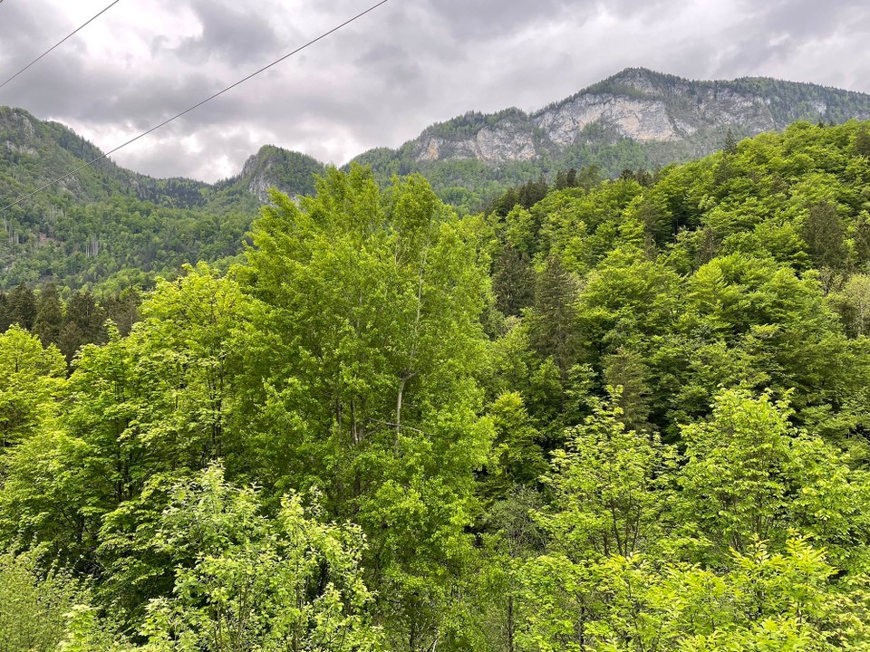 Slowenien - Bled - 