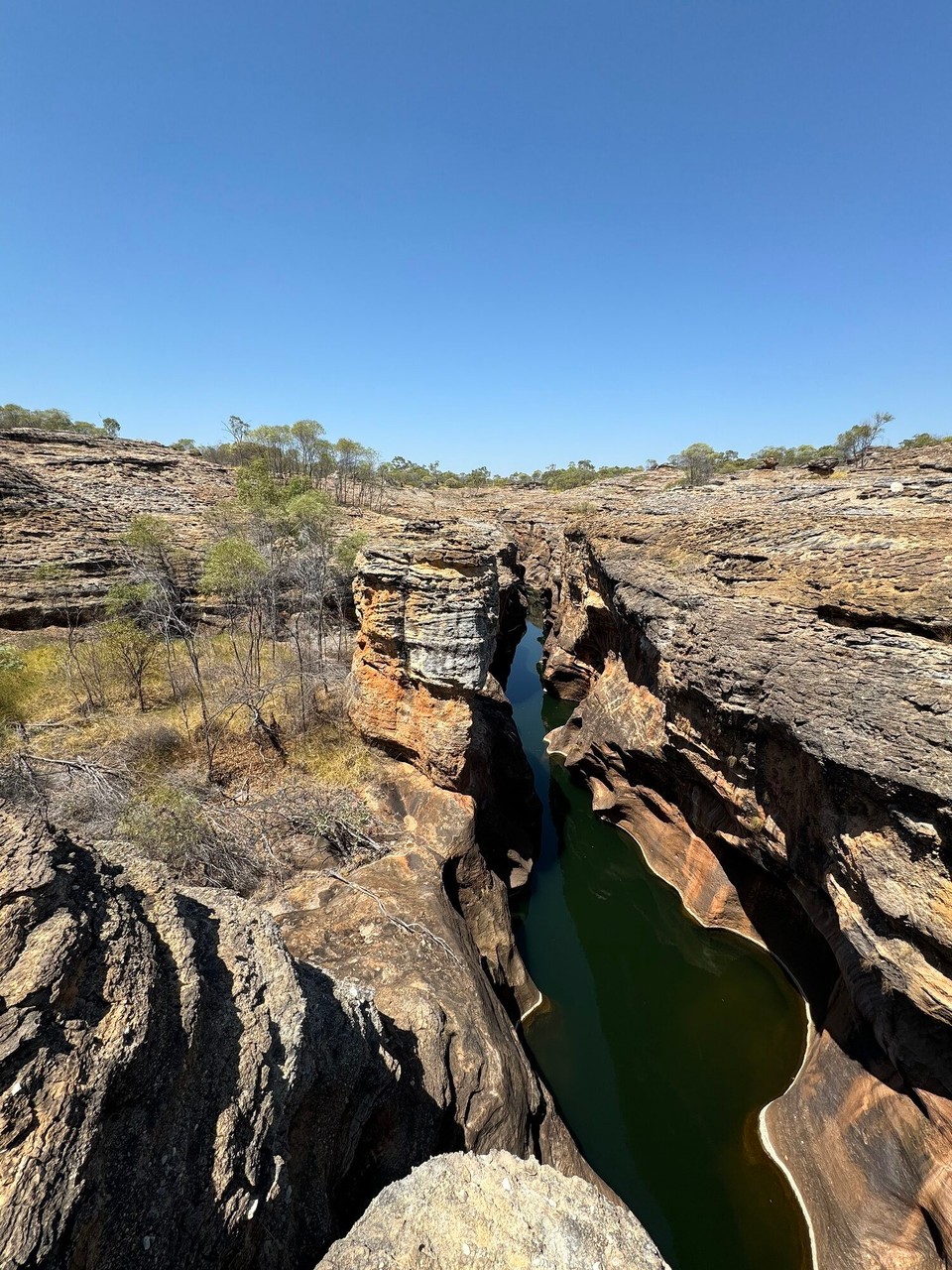 Australien - Forsayth - 