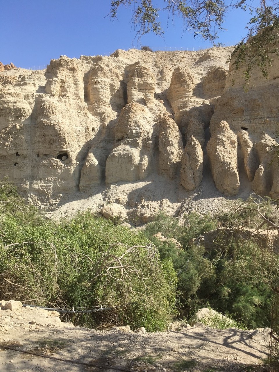 Israel - Ein Gedi - 