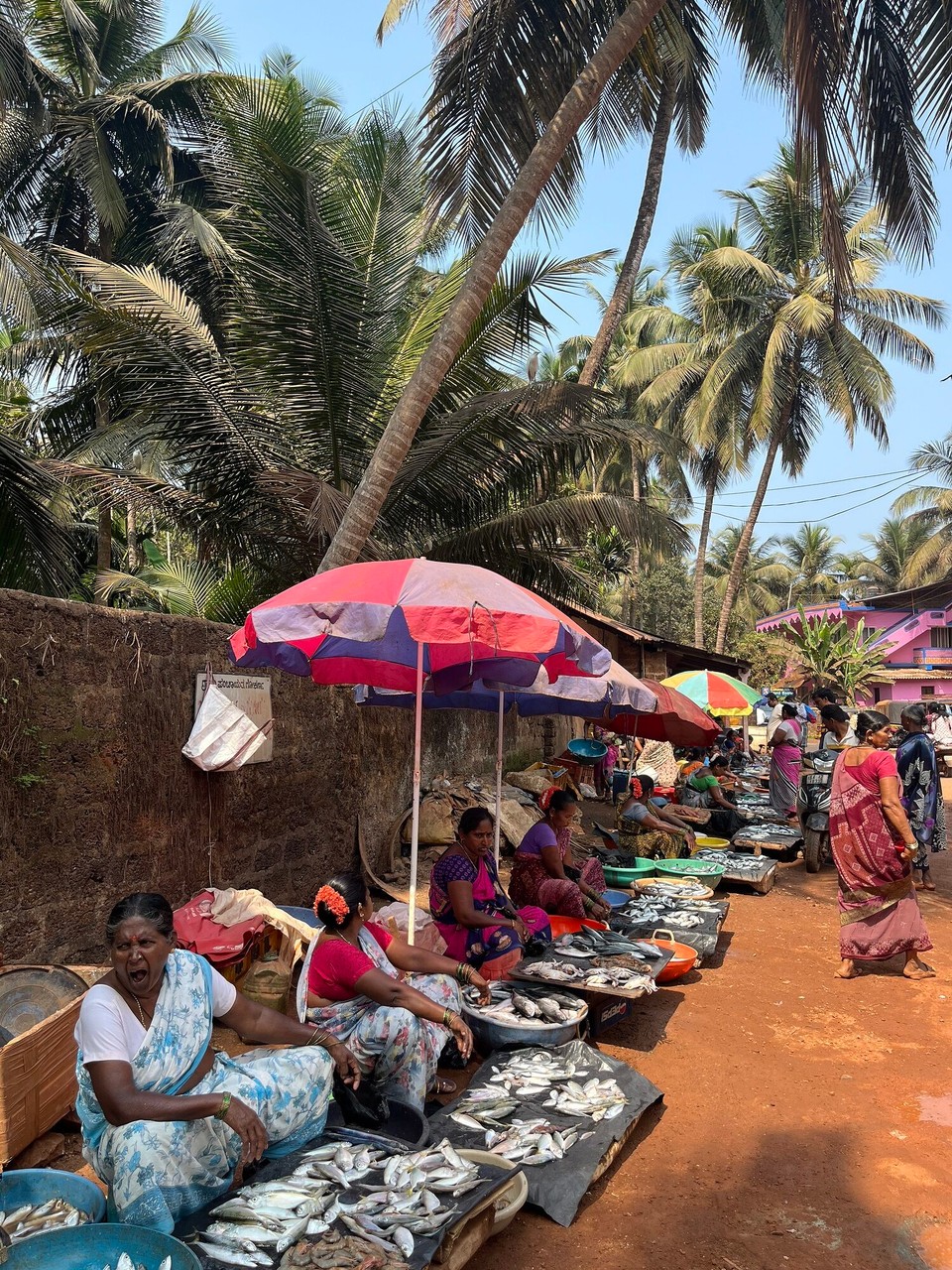 Indien - Gokarna - Fischmarkt 