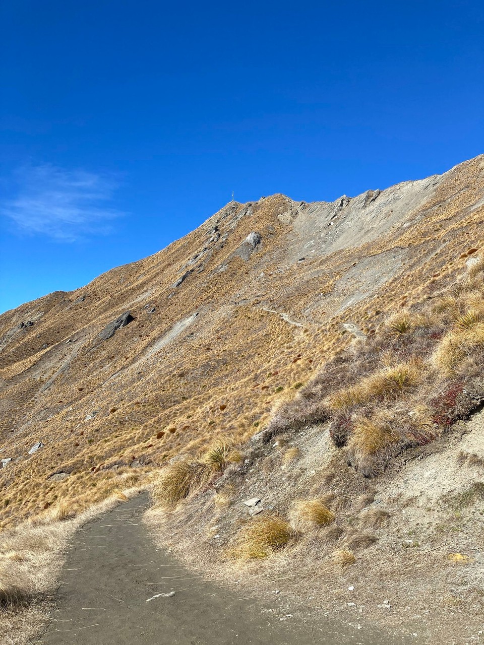 Neuseeland - Wanaka - Der Gipfel kommt auch in greifbare Nähe