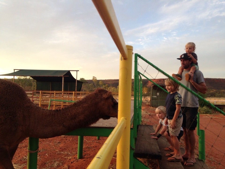Australia - Petermann - 
