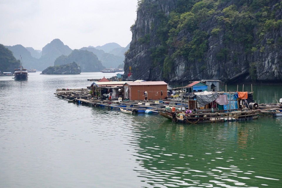 Vietnam - Cát Bà Island - Flytende fiskelandsbyer