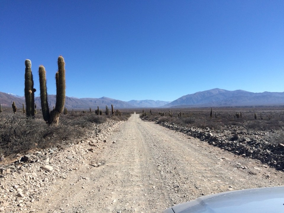 Argentinien - Molinos - Stund um Stund Route National 40 = Schotterpiste - max 50km/h, eher 30 - hätten wir mal einen Amarok gemietet