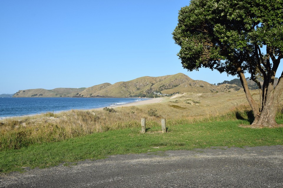 Neuseeland - Whitianga - Die eine....