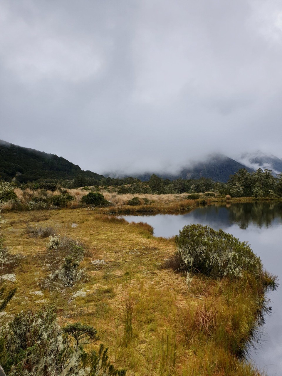 Neuseeland - Kaikoura - 