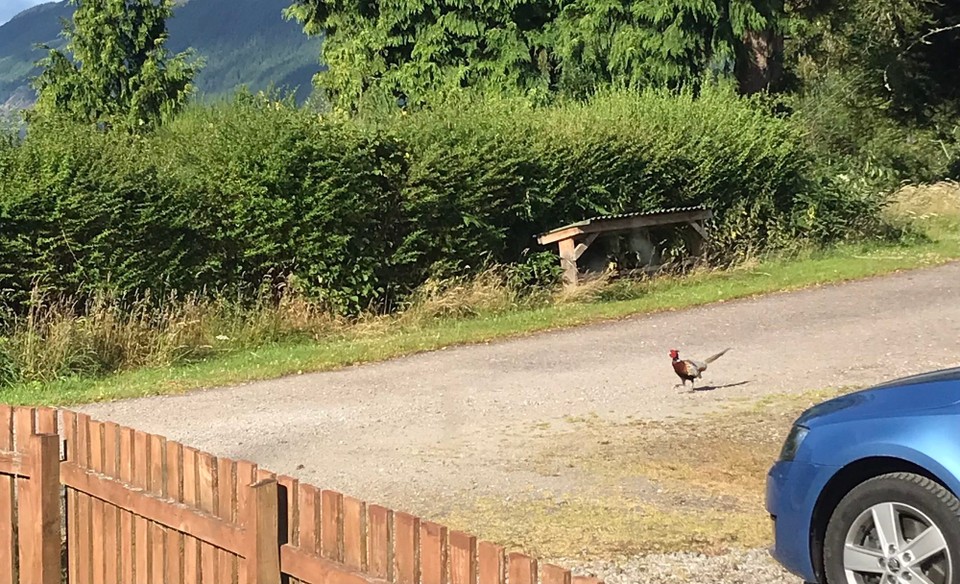 Vereinigtes Königreich - Inverness - Üses nöiä Huustier