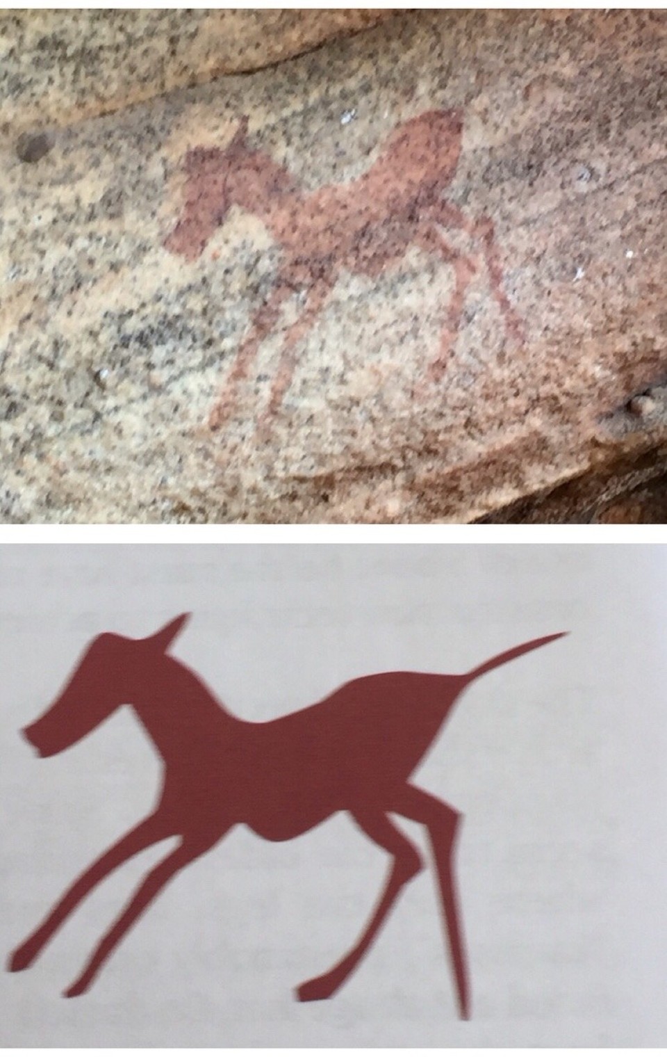 Südafrika - Clanwilliam - Fundstelle 3 unter anderem ein tolles 
Zebra noch sehr gut zu erkennen und wunderbar gezeichnet