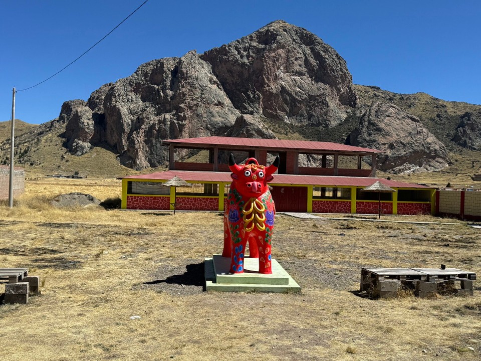 Peru -  - Viele Stiere