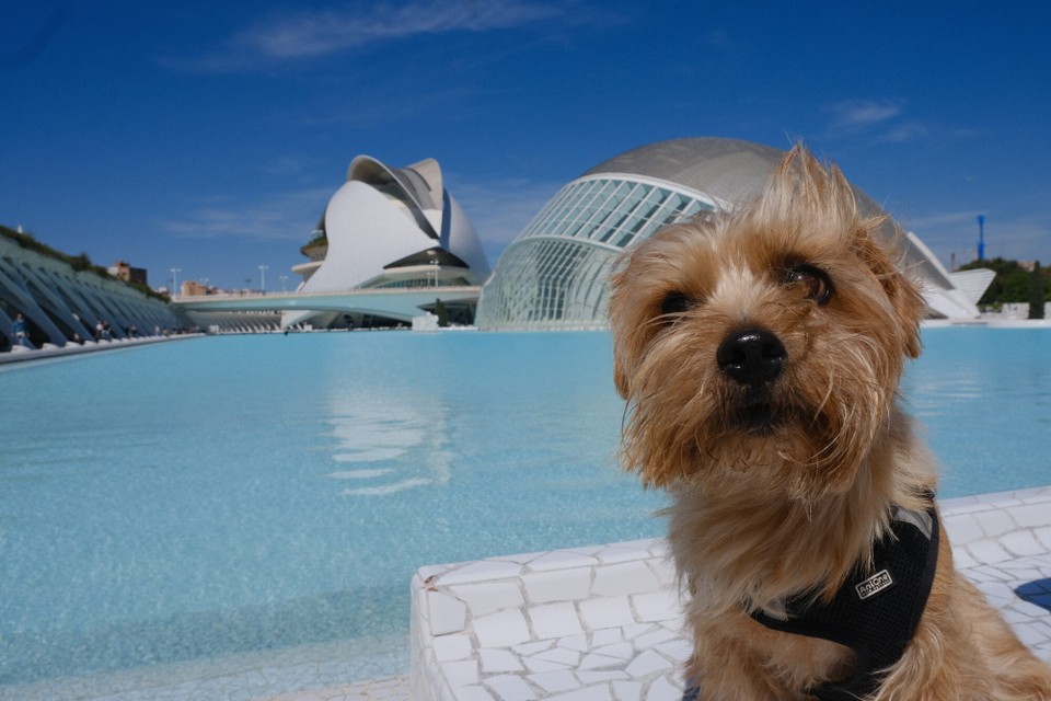 Spanien - València - 