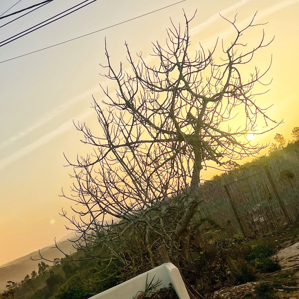 Portugal - Odeceixe - 