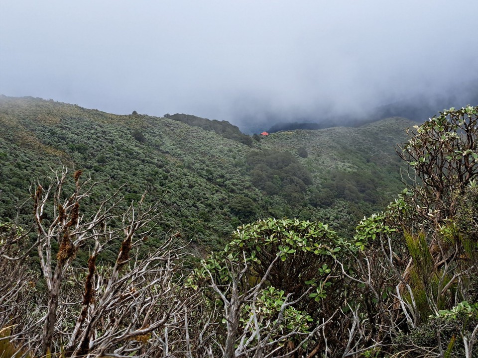 Neuseeland - unbekannt - 