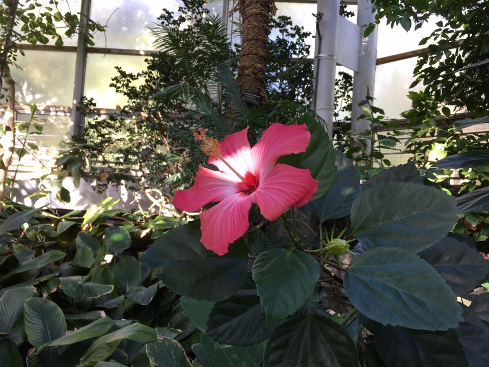 United States - New York - Diese sind einmal in der Woche umsonst und das sollte auch genutzt werden 