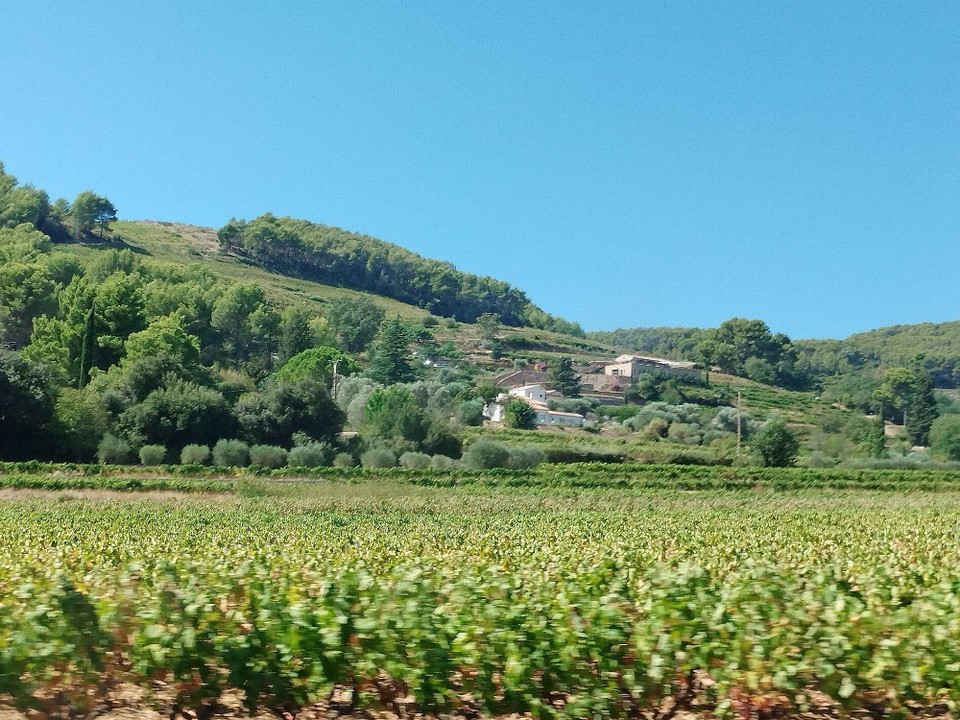Frankreich - Mandelieu-la-Napoule - 