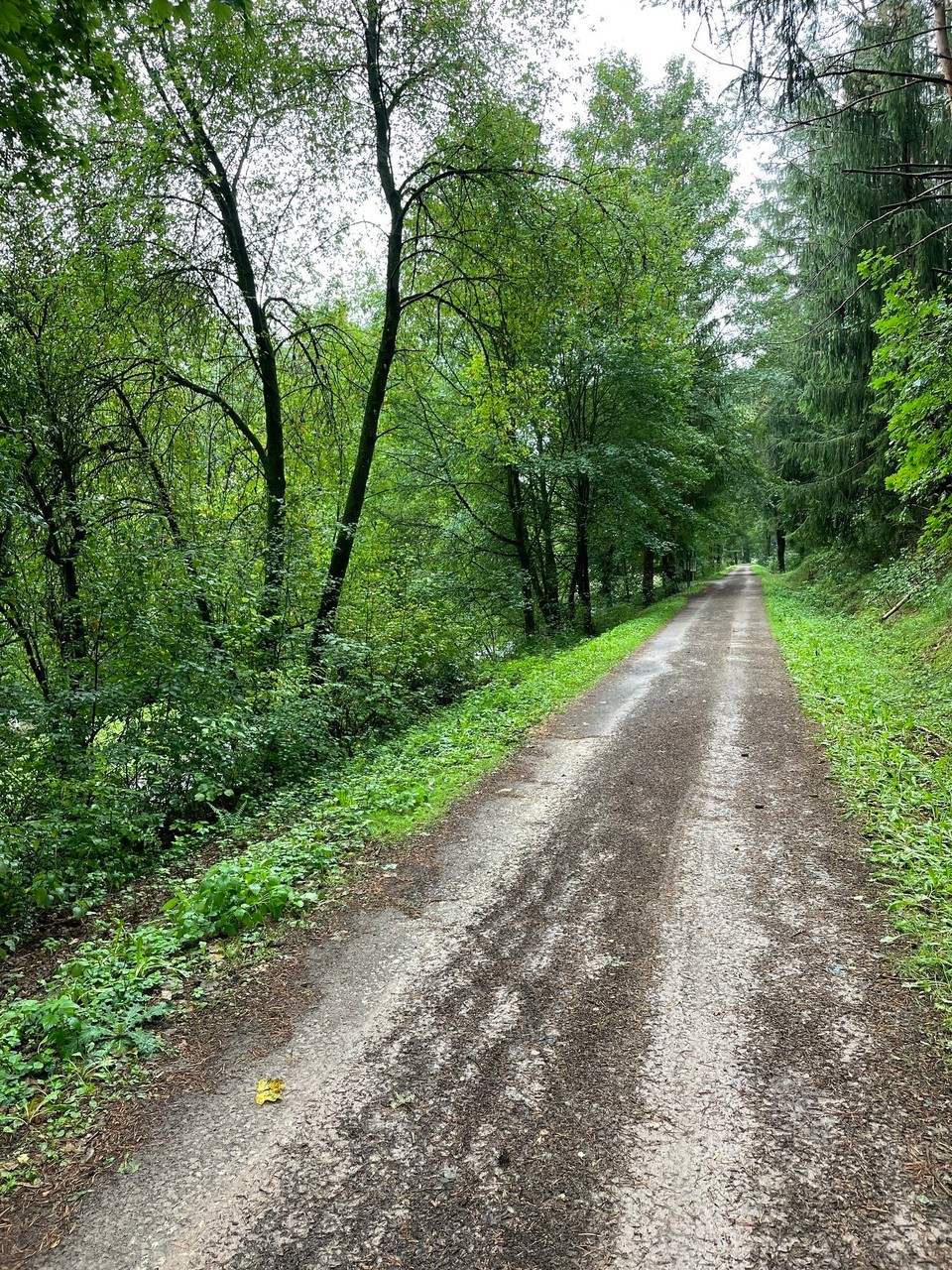 Deutschland - Regensburg - und dann schön an der Pegnitz entlang…