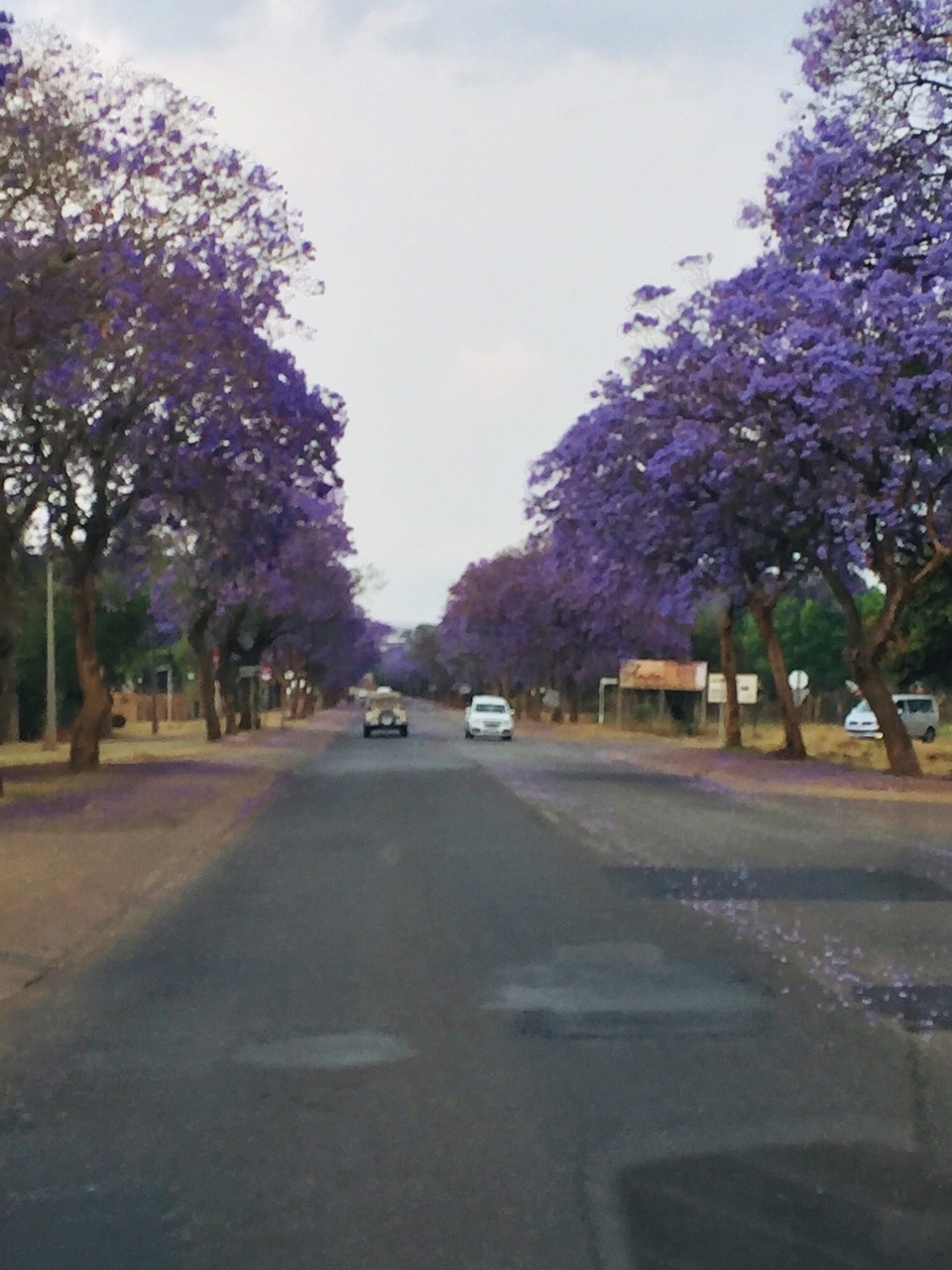 Südafrika - Dullstroom - Auf dem Weg zur Chestnut Lodge, R37 entlang