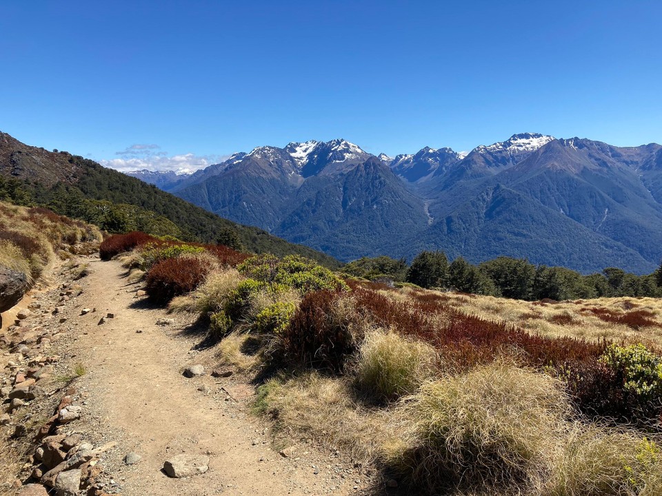 Neuseeland - Fiordland National Park - 