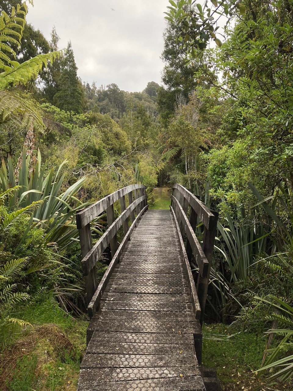 Neuseeland - Harihari - 