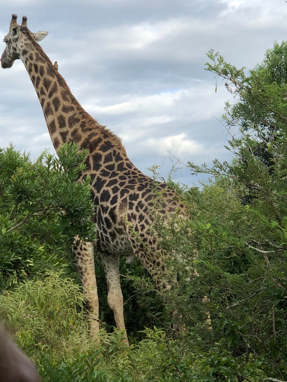 Südafrika - Durban - 