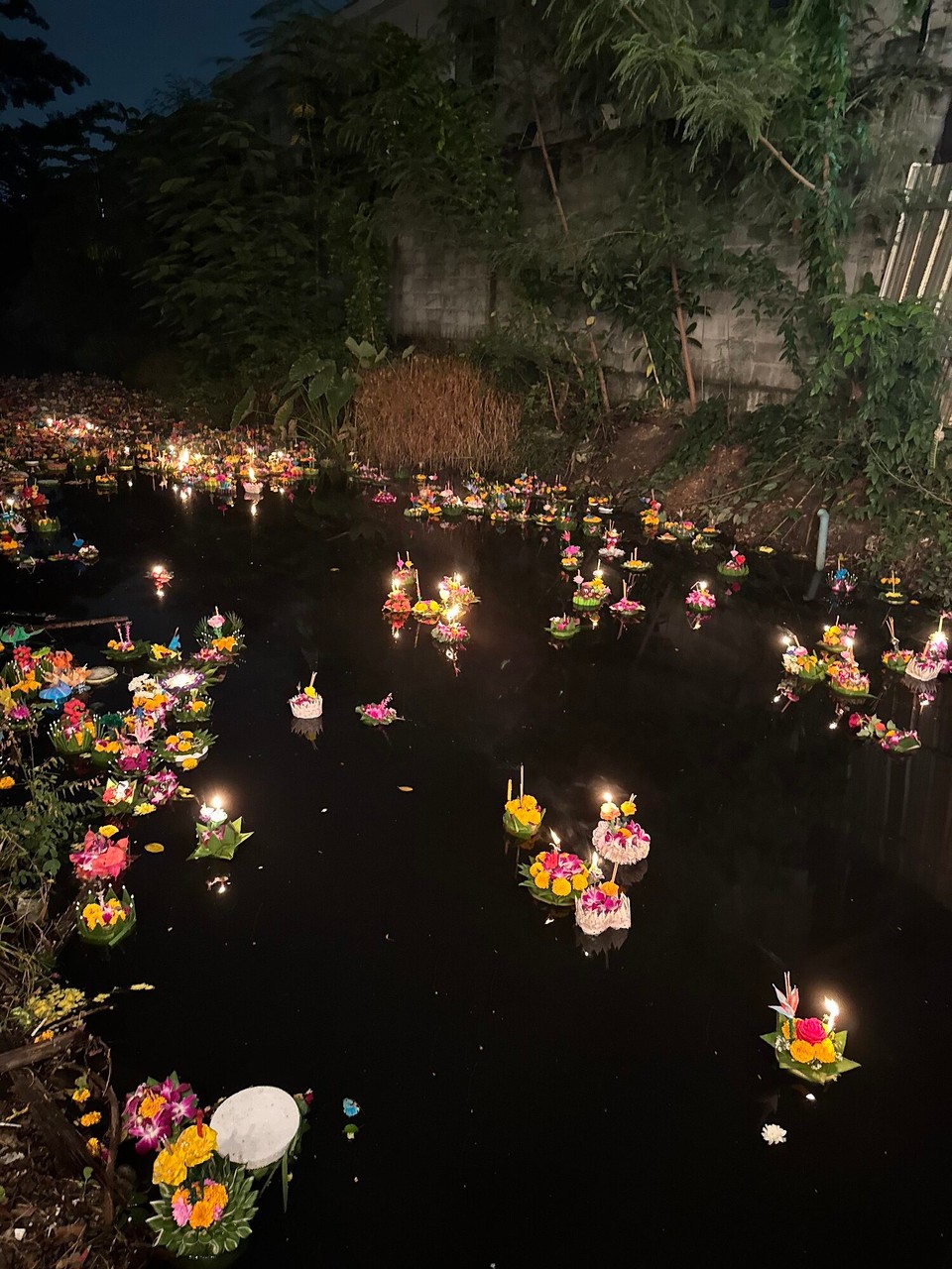 Thailand - Bangkok - 