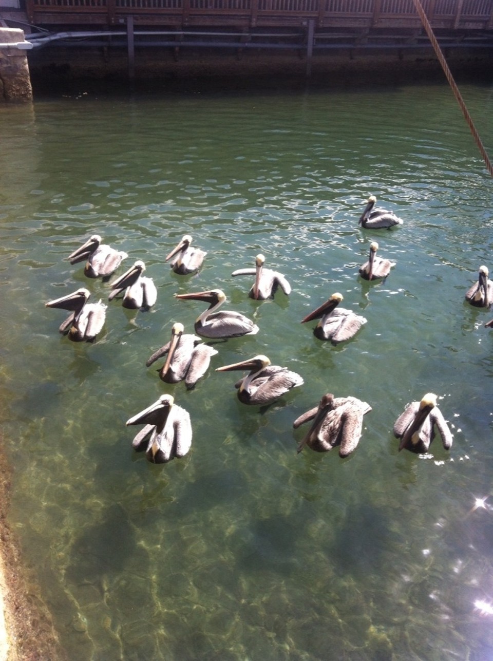 Egyesült Államok - Key West - 