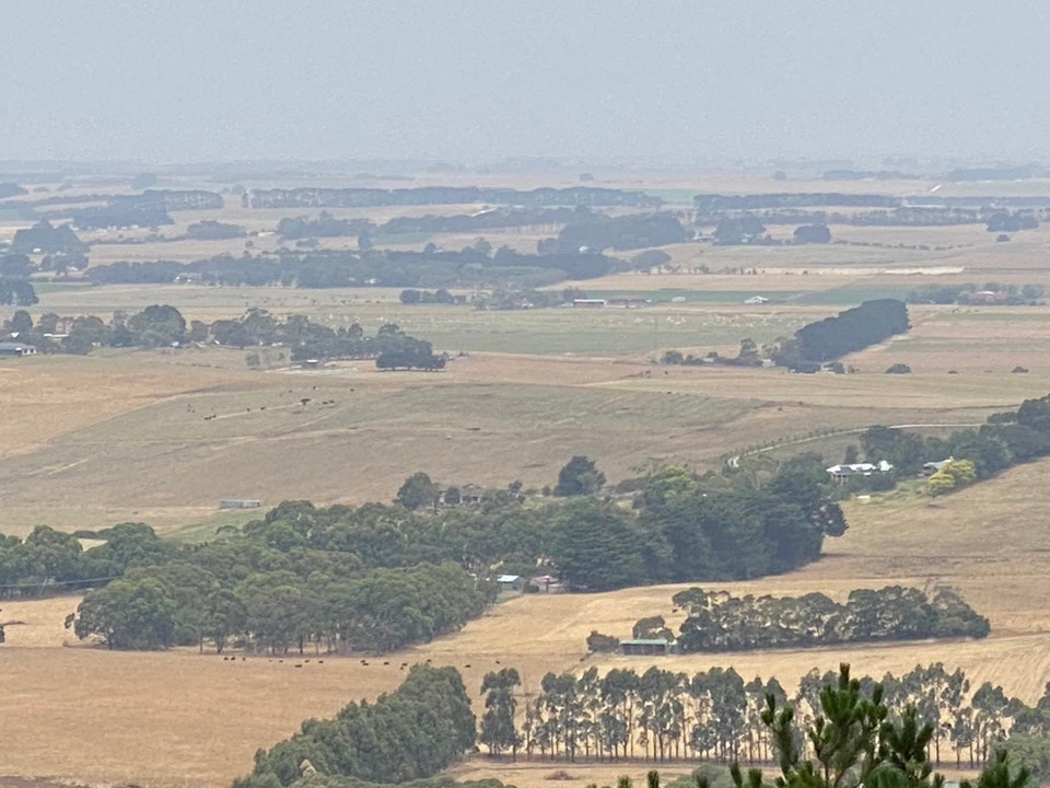 Australien - Mount Gambier - auch vom Aussichtspunkt mit Blick in die Ebenen rund um Mount Gambier waren ausser Kühen und Schafen keine Tiere wie Kangeroos zu sichten
