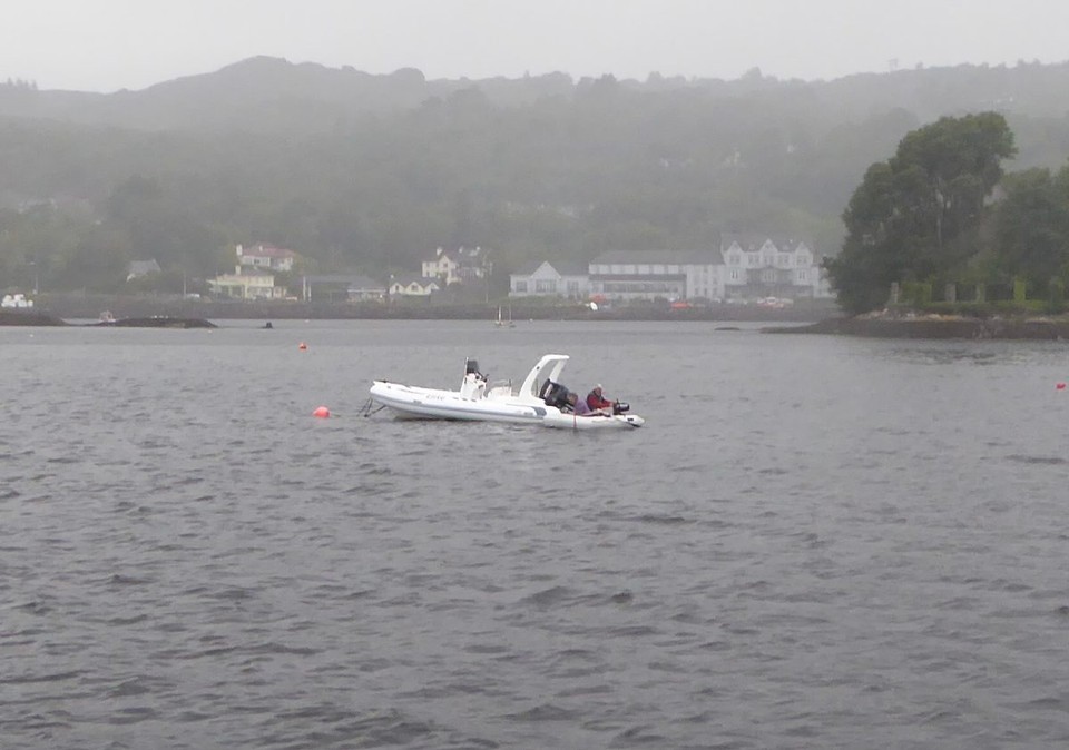 Ireland - Glengarriff - Henri and Susy slowly rowed after the seal who had started swimming between boats again. To our surprise, they quickly found and scooped the pup into the net.